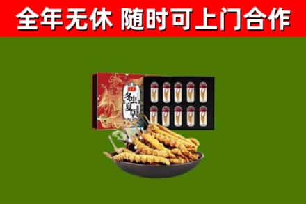 岱岳回收冬虫夏草价格